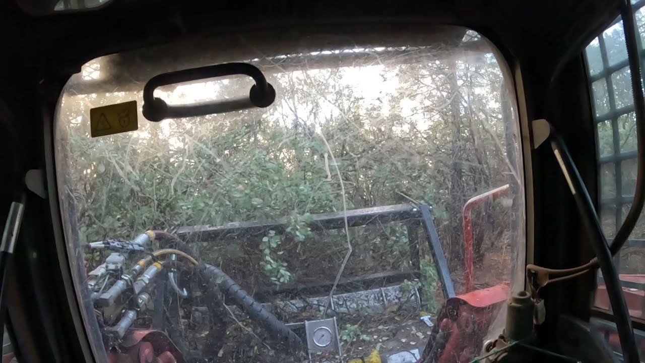 Masticating Oak and Manzanita With The New FAE Sonic and TL12 - ASMR