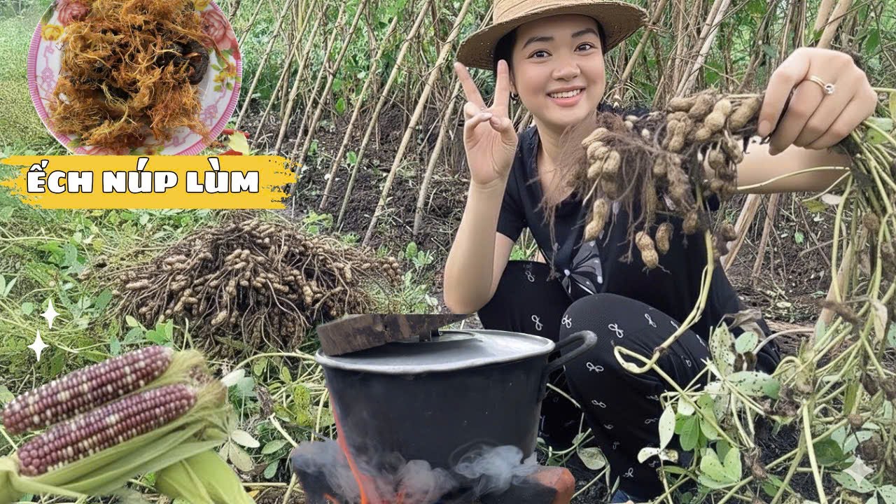 Thu Hoạch Đậu Phộng, Bắp Tím! Làm Món Ếch Núp Lùm Lai Rai Cực Đã Cùng Gia Đình Dân Dã