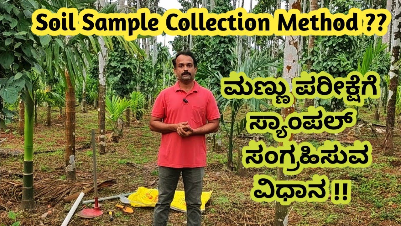 ಮಣ್ಣು ಪರೀಕ್ಷೆಗೆ  ಸ್ಯಾಂಪಲನ್ನು ಸಂಗ್ರಹಿಸುವುದು ಹೇಗೆ?? |  Soil Sample Collection Method