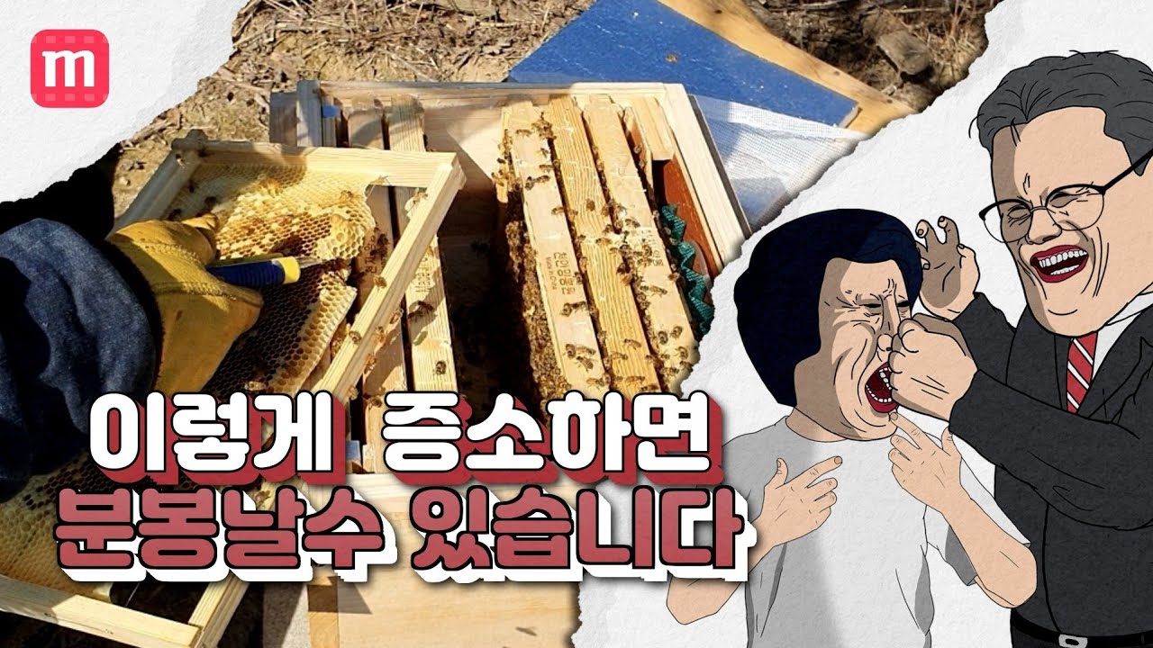 토종벌 소초광 증소시 위치에 따른  엉뚱한 결과가 나옵니다