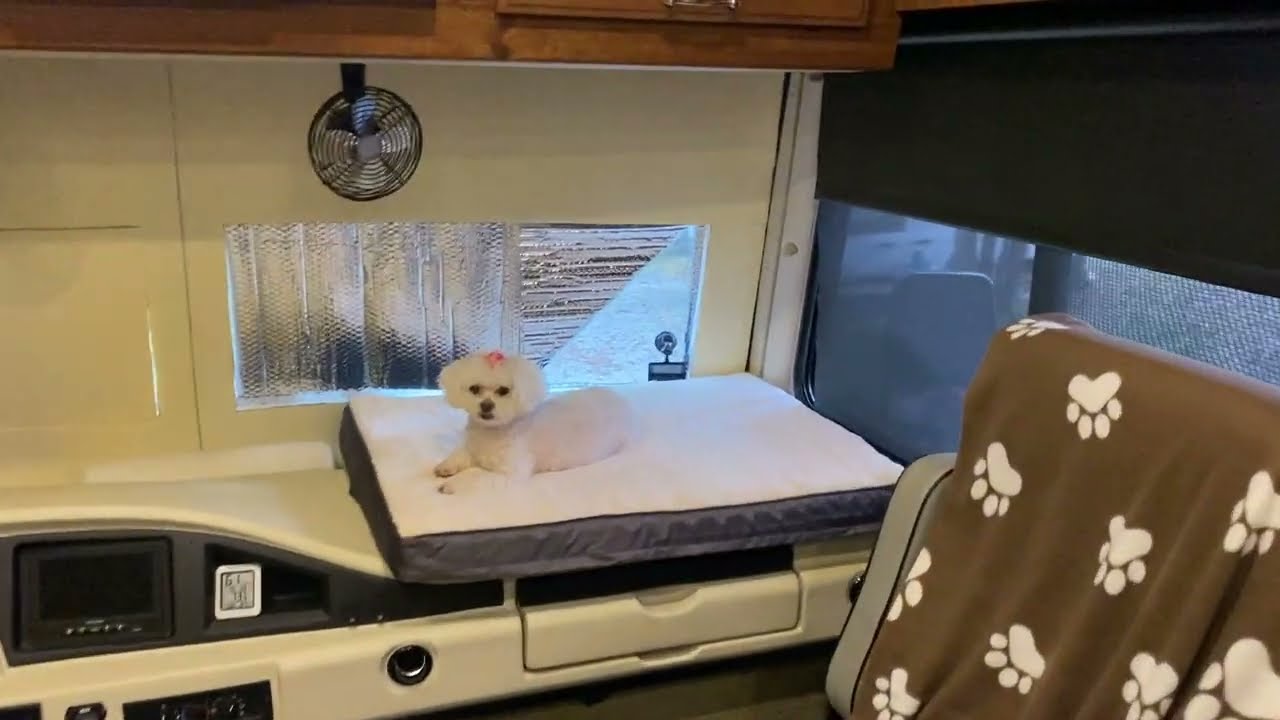 RV Life: Sadie in the Dash [KTFG 438]
