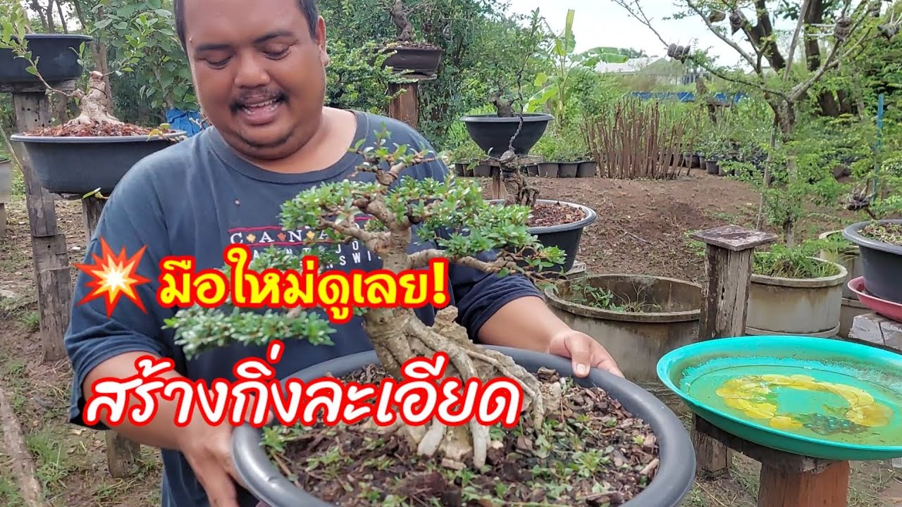 👍🔥มือใหม่ต้องรู้สร้างรายละเอียดของกิ่งอย่างละเอียดยิบกันเลยทีเดียว
