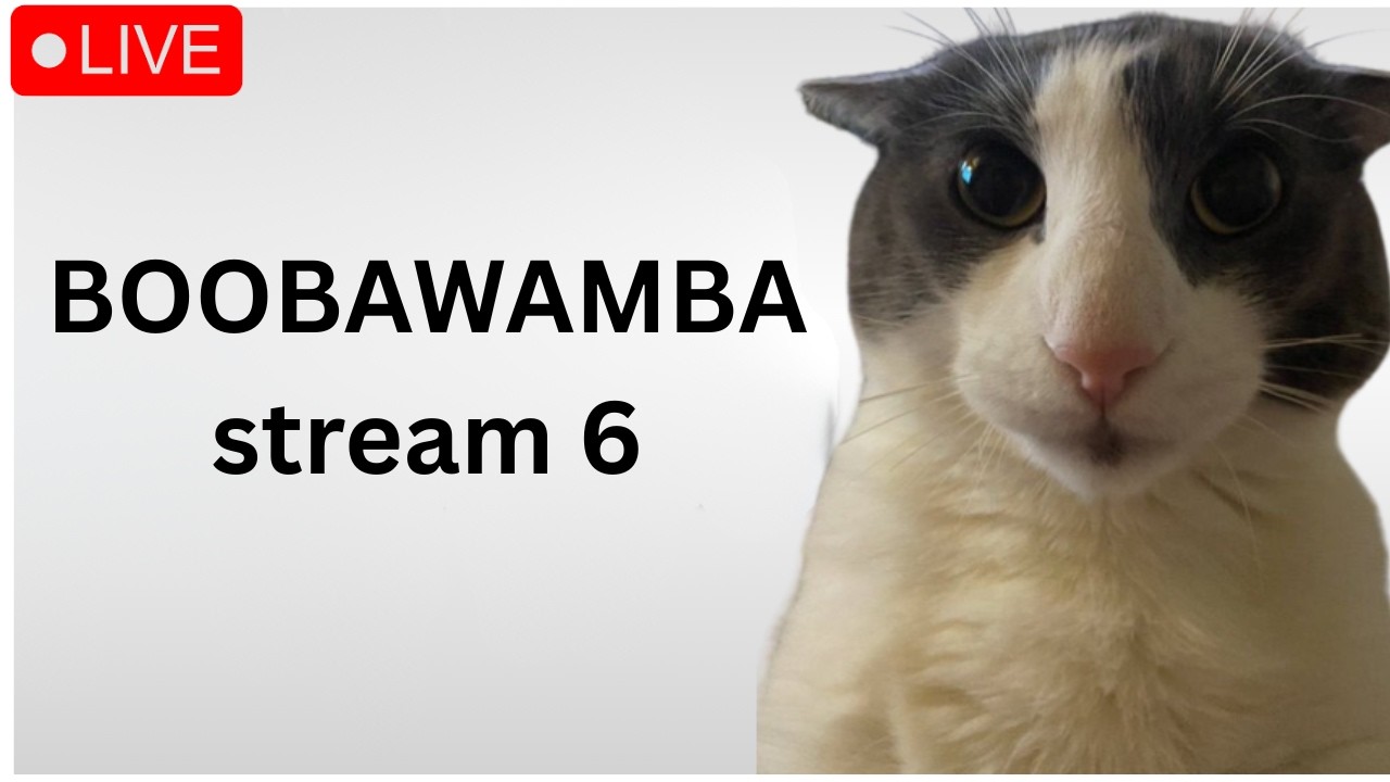 🔴 BOOBAWAMBA 100% 🔴 STREAM 6