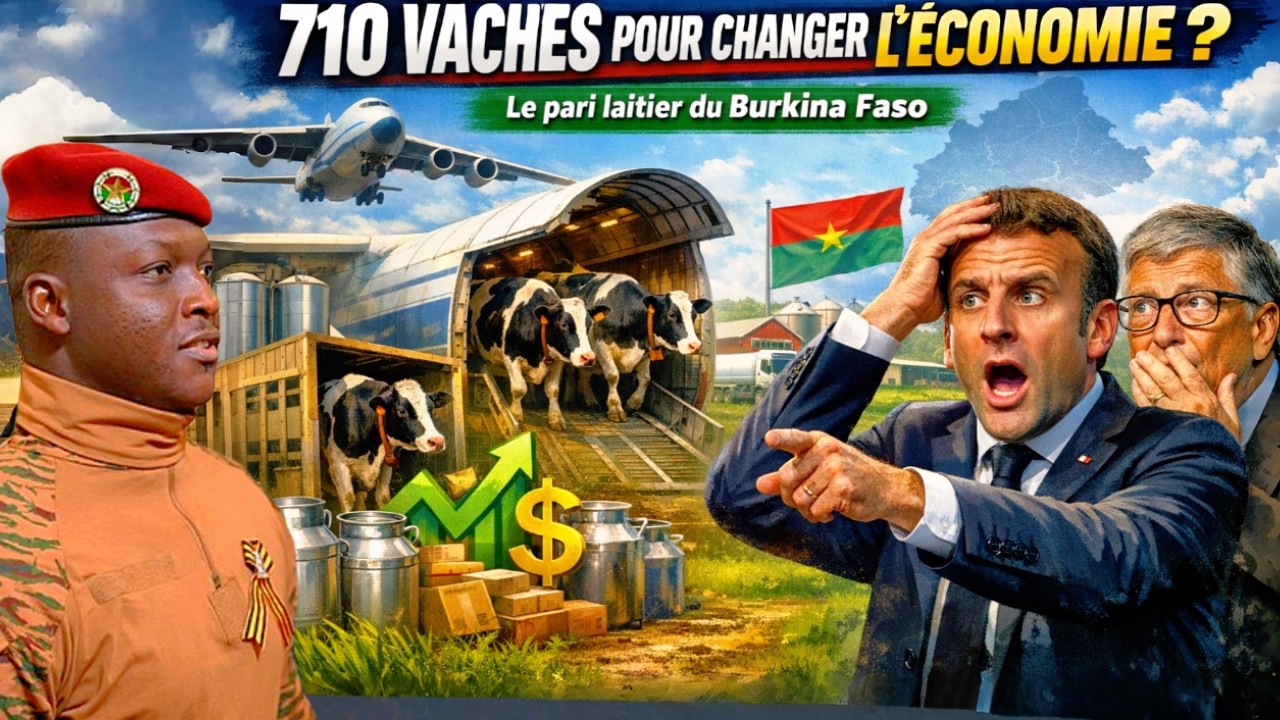 Ibrahim Traoré : 710 vaches importées — le pari choc pour produire 1 million de litres de lait
