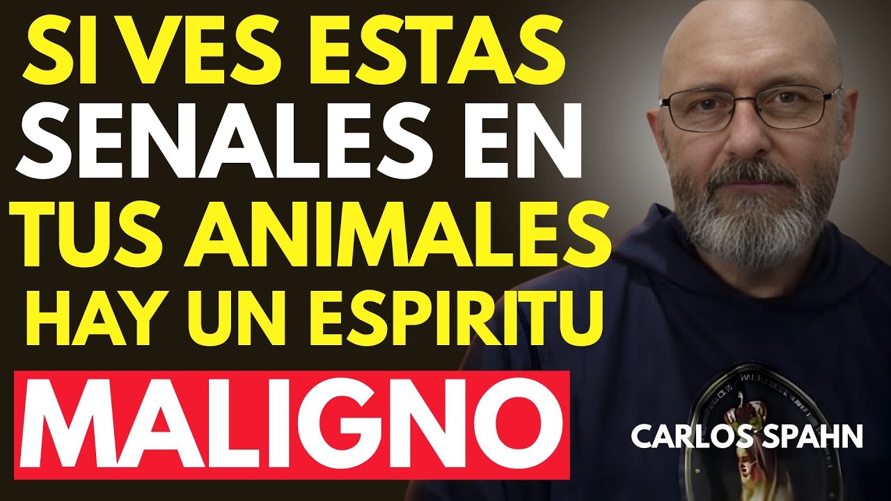 PADRE CARLOS SPAHN REVELA: 7 SEÑALES EN PERROS Y GATOS QUE PODRÍAN VENIR DE DIOS