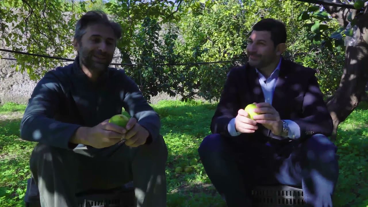 MELITO DI PORTO SALVO: ALLA SCOPERTA DEL BERGAMOTTO