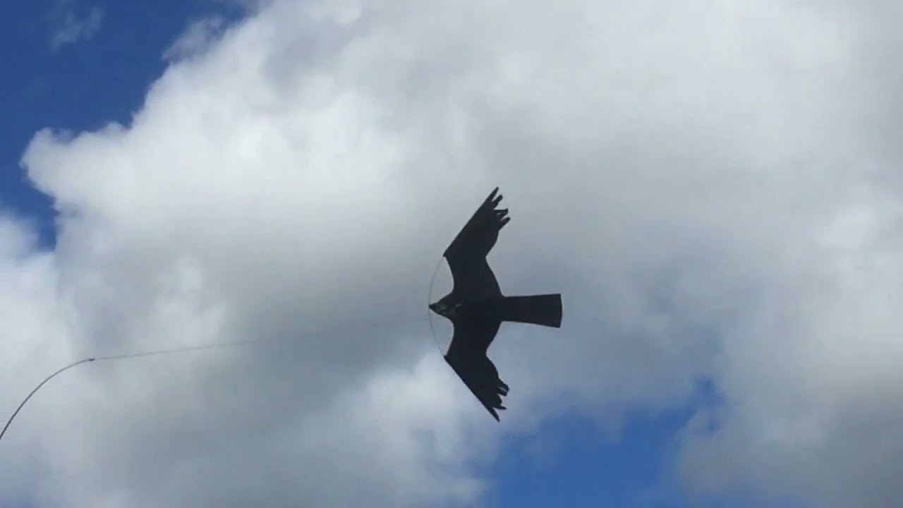 F&aring;gelskr&auml;mma Drake - birdcontrol.se