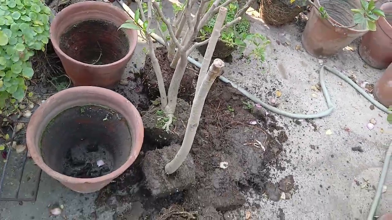 খুব সহজে রিপোরটিং করুন