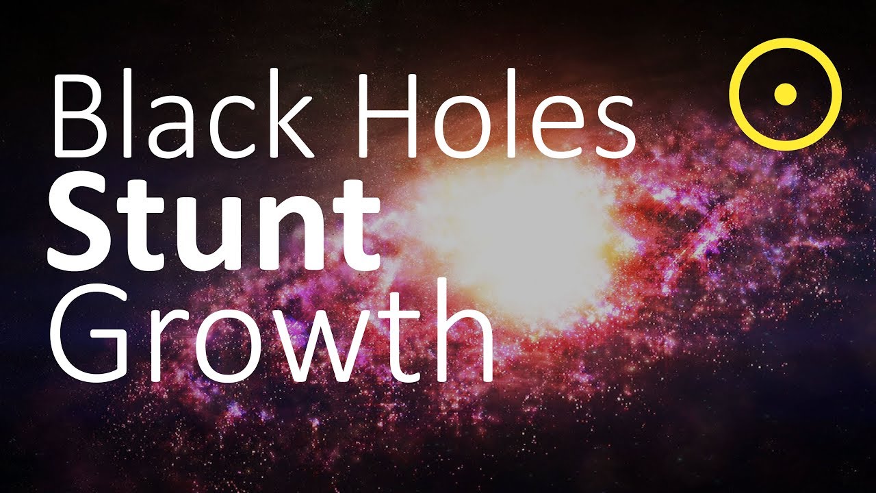 Black Holes Slow Down Growth of Dwarf Galaxies