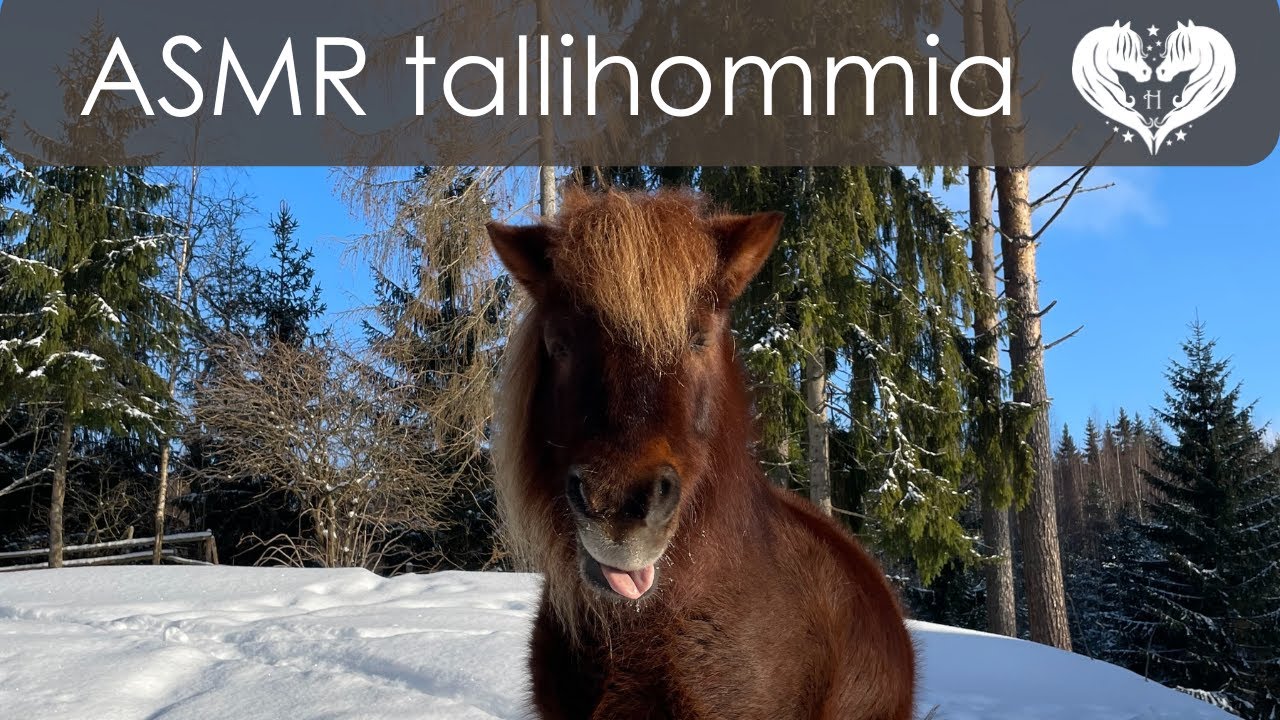 ASMR tallihommia