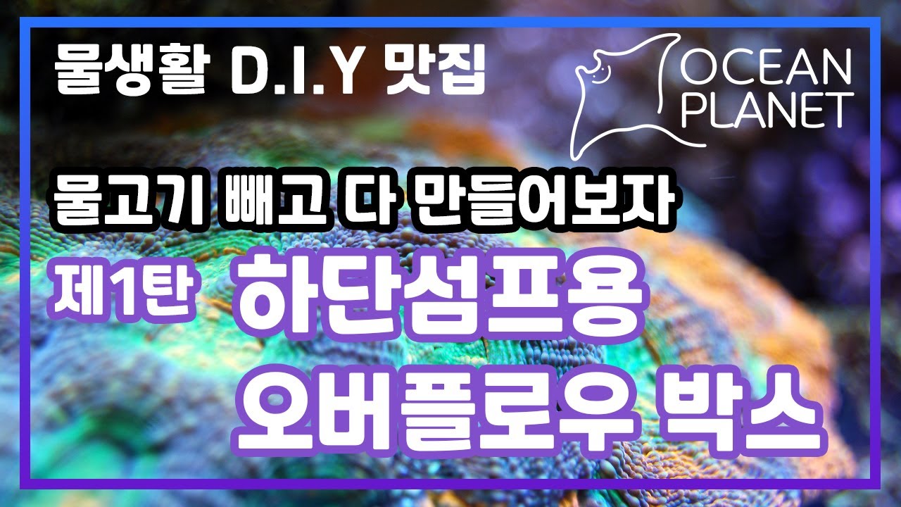 [물생활 D.I.Y] 하단 섬프수조를 위한 오버플로우 박스