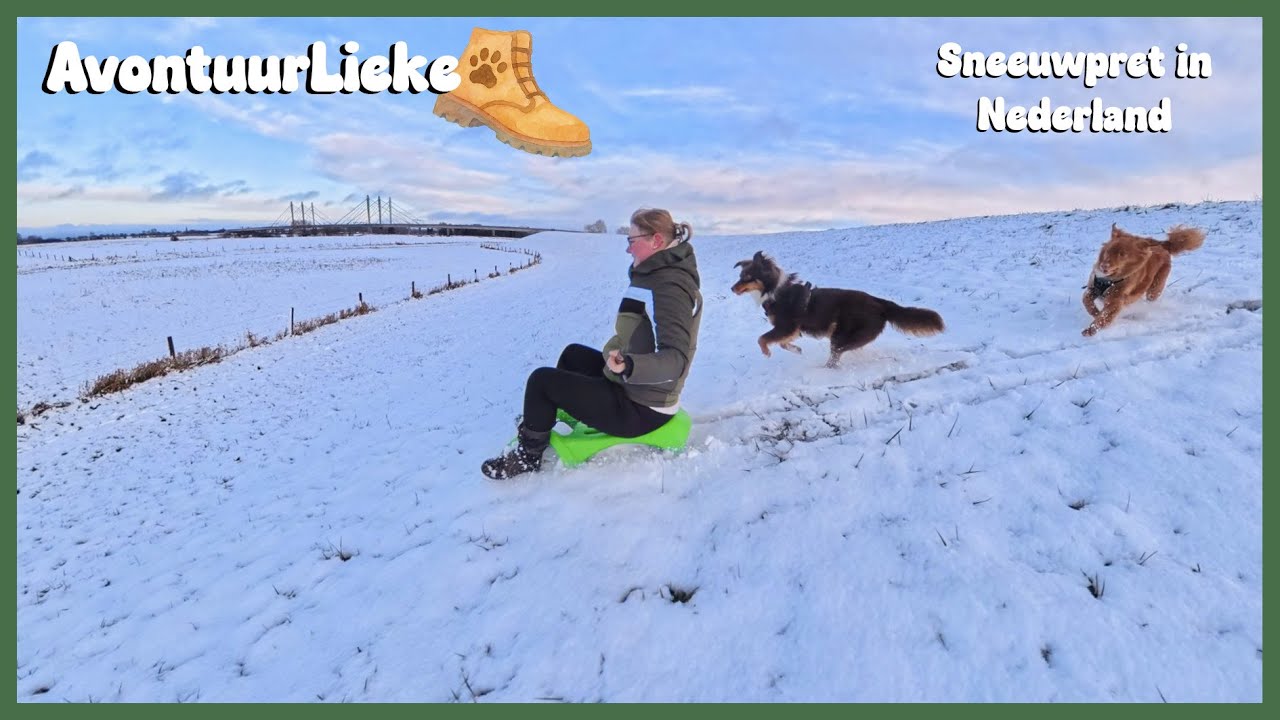 Sneeuwpret in Nederland ❄️ 🐾 AvontuurLieke