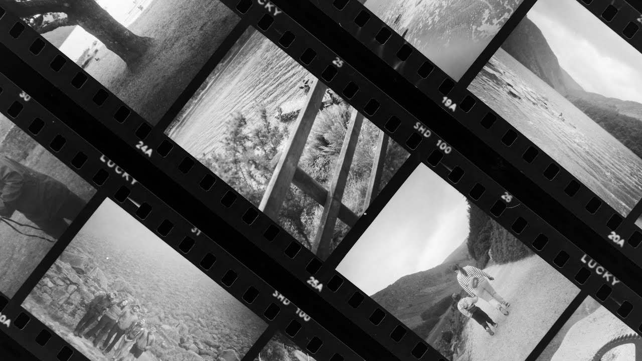 Lucky New SHD 100 - A solid enough performer