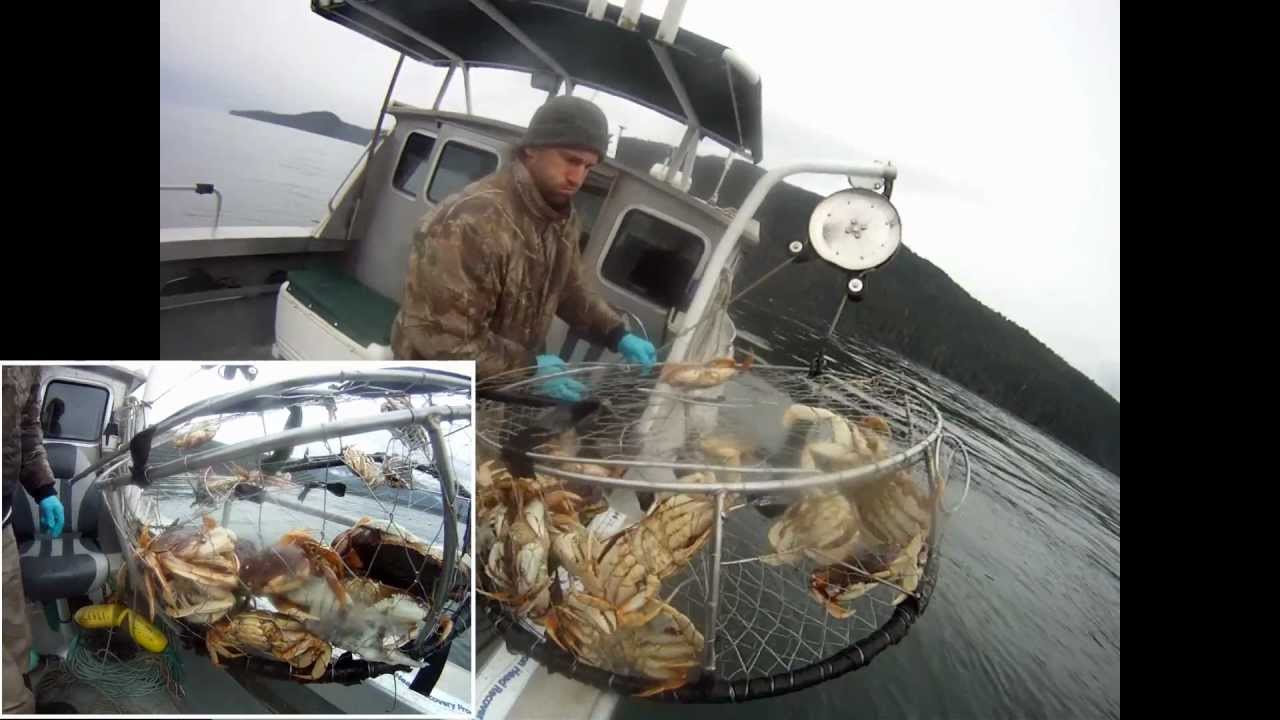 Port Renfrew halibut & salmon fishing: A Vicious Day in April