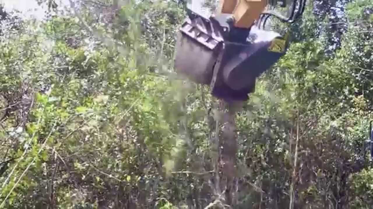 Brown Brontosaurus EVO Forestry Mower Head - Clearing Trees and Brush