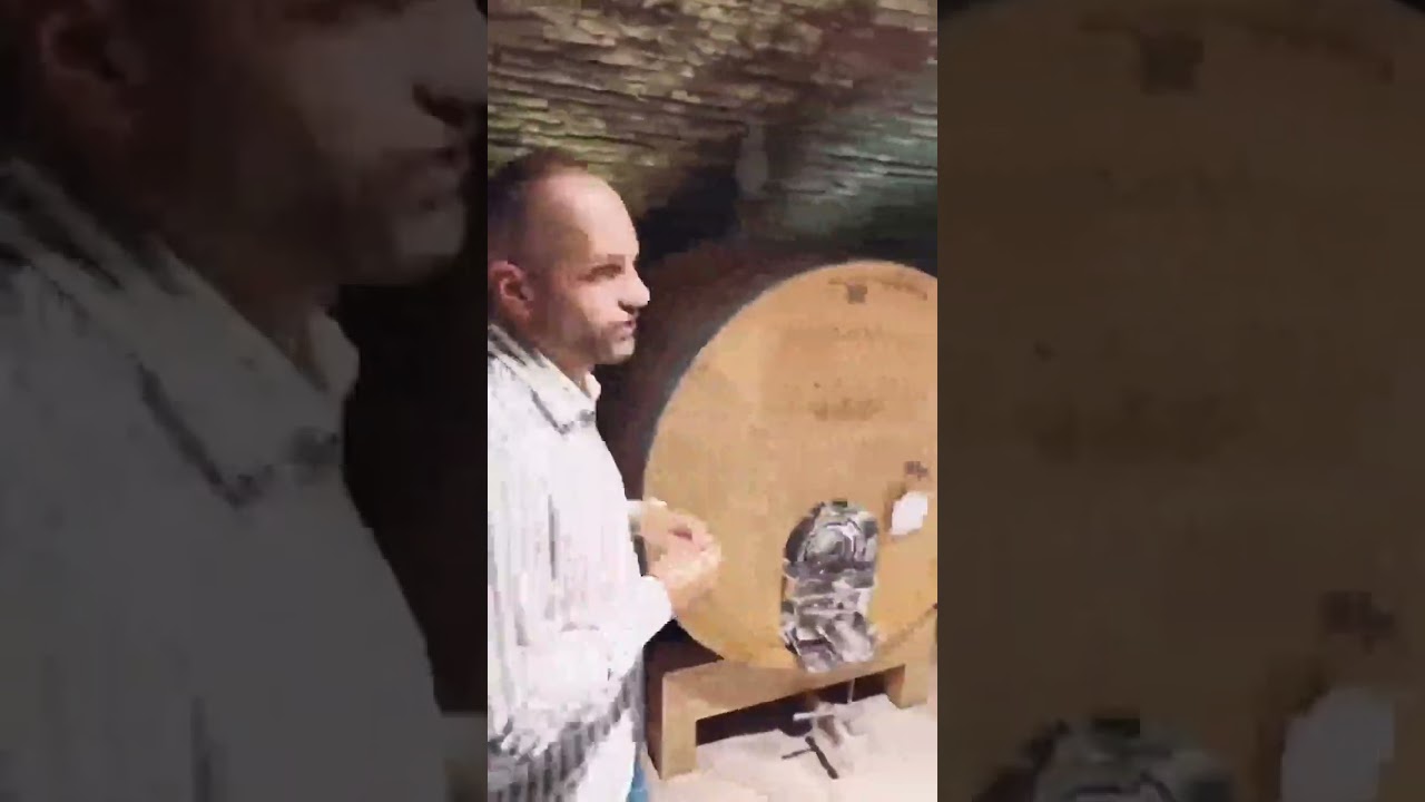 Exclusive VIP tour of #kutjevackipodrum #kutjevo #vinarija #vinskipodrum #slavonija #vinskiturizam