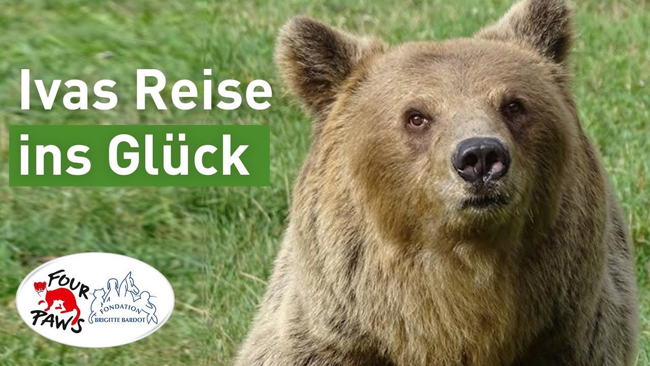 Ivas Reise ins Glück | VIER PFOTEN