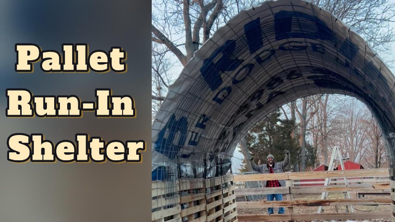 DIY Pallet Run-In Shelter for Horses | How We Built It + 1-Year Review