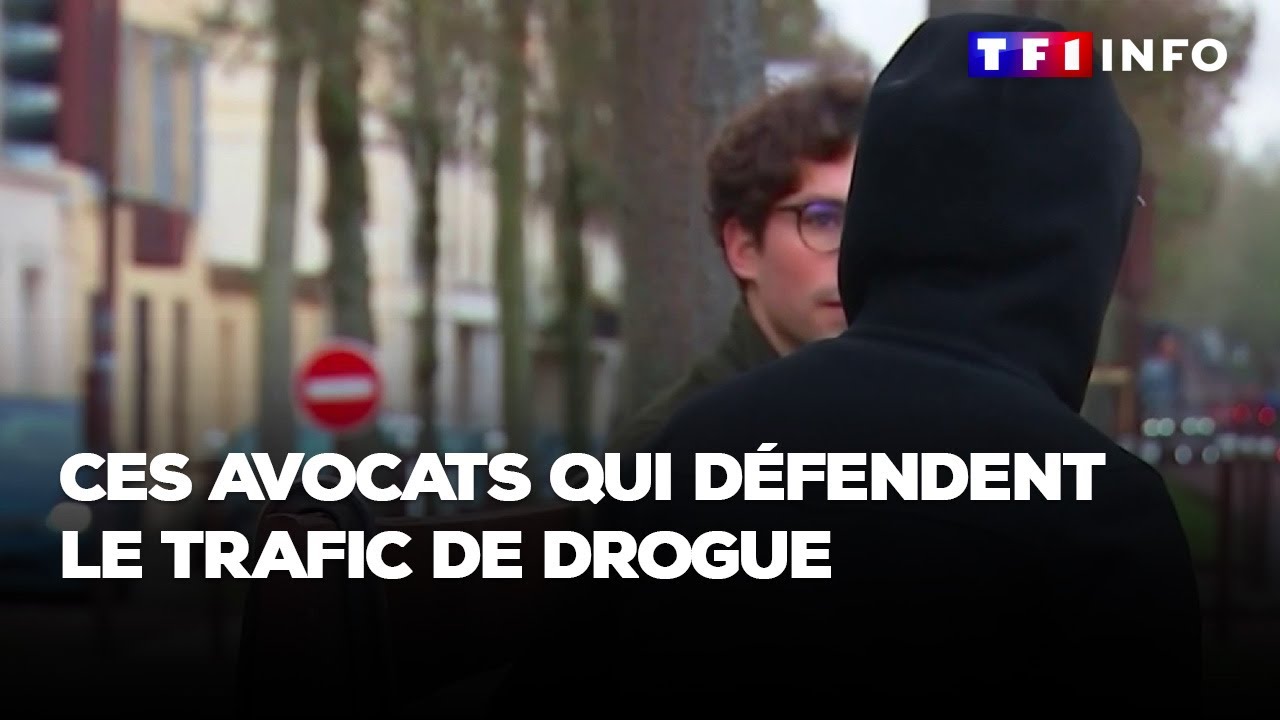 Ces avocats qui défendent le trafic de drogue