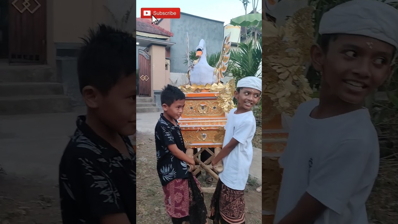 Mikul bade kecil #shorts #ngaben