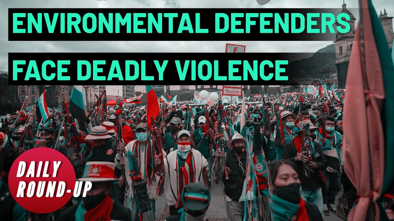Daily Round-up|227 environmental defenders killed in record attacks in 2020 and other stories