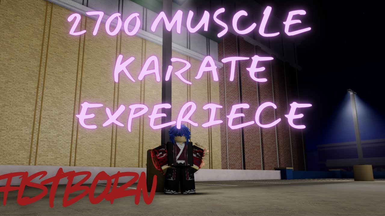2700 MUSCLE KARATE EXPERIENCE | Fistborn