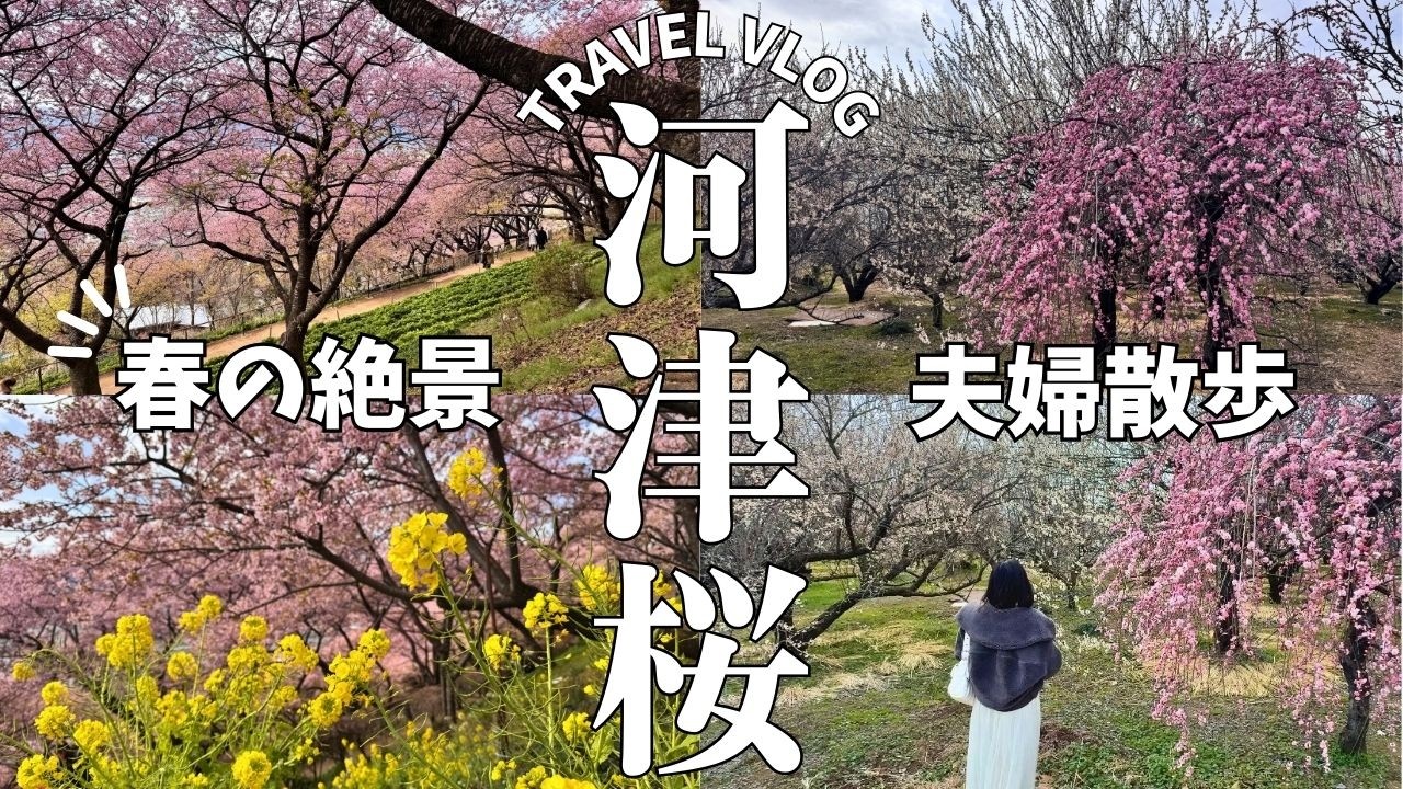 【河津桜vlog】満開の河津桜に会いにいく一日｜夫婦さんぽ