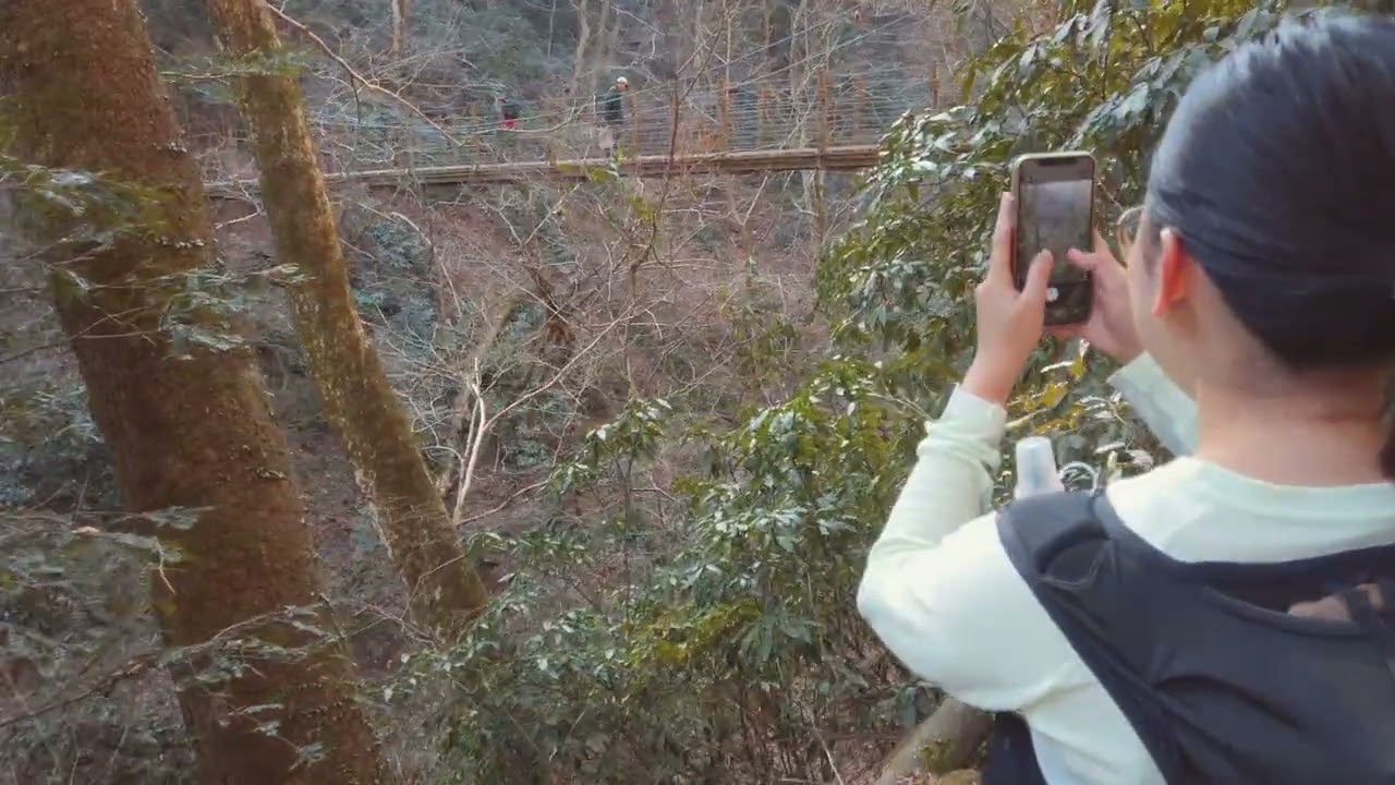 Valentine's Day Hike, Mt. Takao