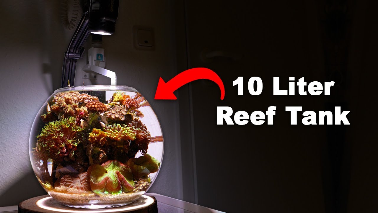 10 Liter NANO REEF TANK - 