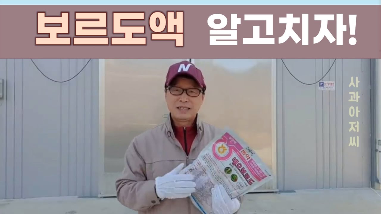 보르도액ㅣ석회보르도액 살포 시기, 방법 및 유의사항, 살균원리 + 화상병과 관련된 소문?