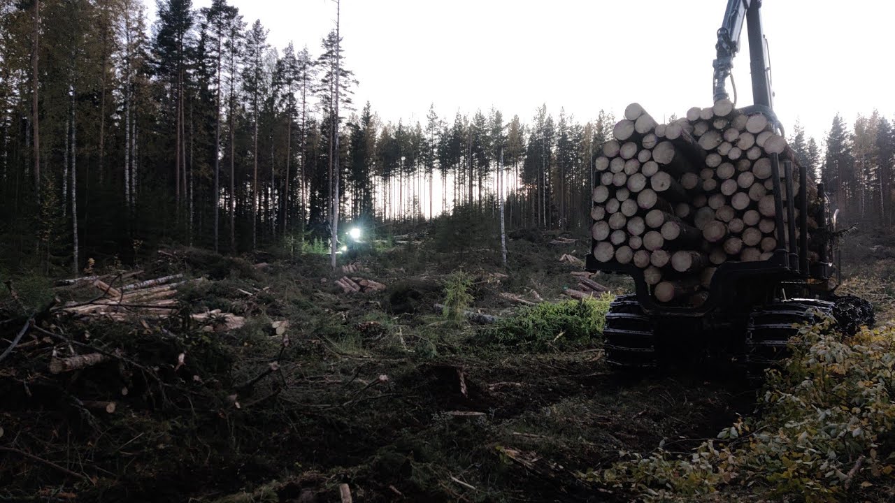 Tukkikuorma ja pitk&auml;hk&ouml; ajomatka - Ponsse Elk -