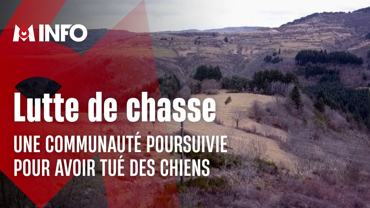 Chiens de chasse tués : un membre de la communauté Longo Maï jugé