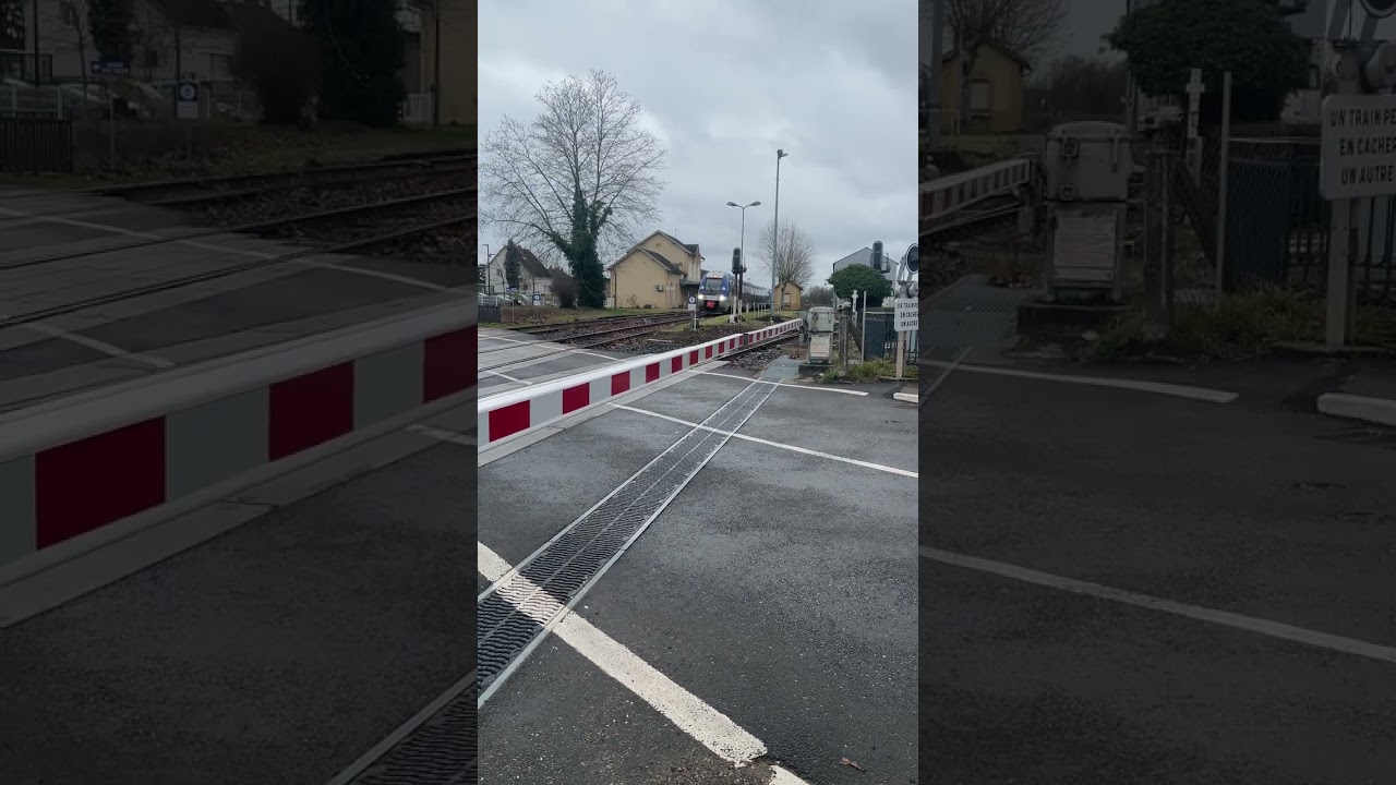 Arrivé du TER 16840(AGC)pour Lyon Perrache en UM 2 en gare de Digoin depuis le PN39 #trainspotting 