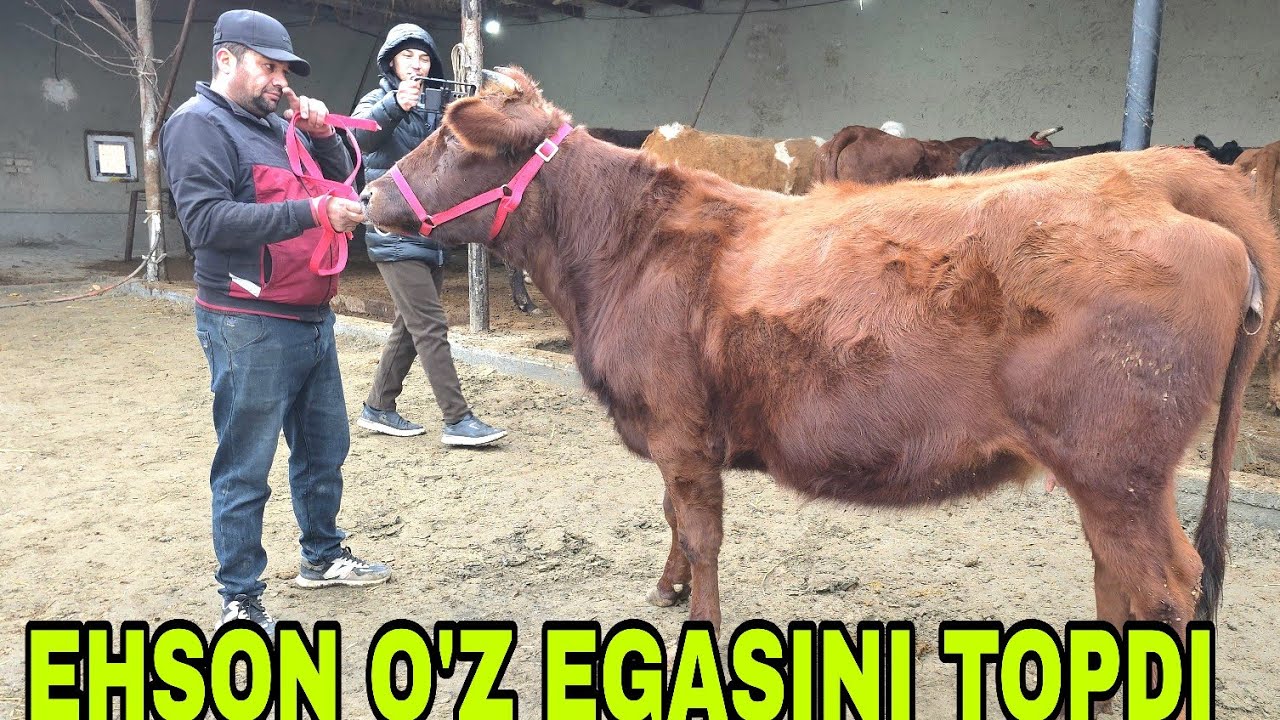 Razzoqjon ukamizdan qo'yilga ehson o'z egasini topdi 30-yanvar, 2026