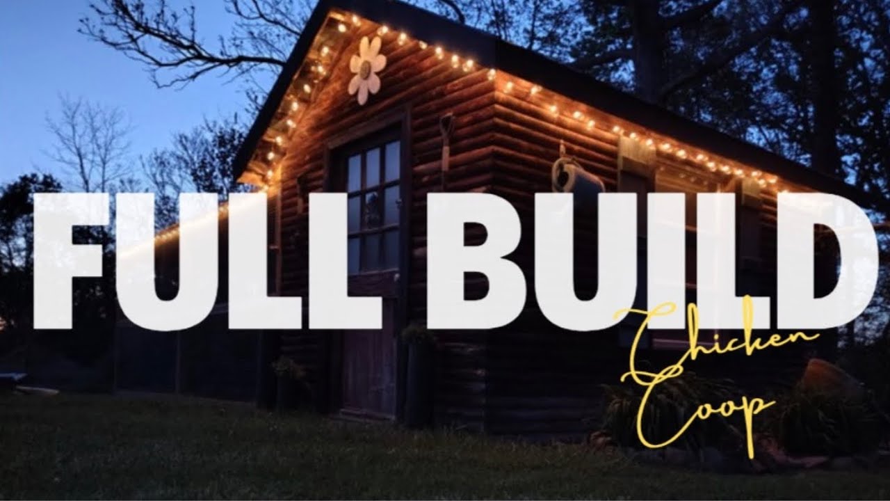 “Old Chicken House Restoration + New Coop Build: Full Transformation
