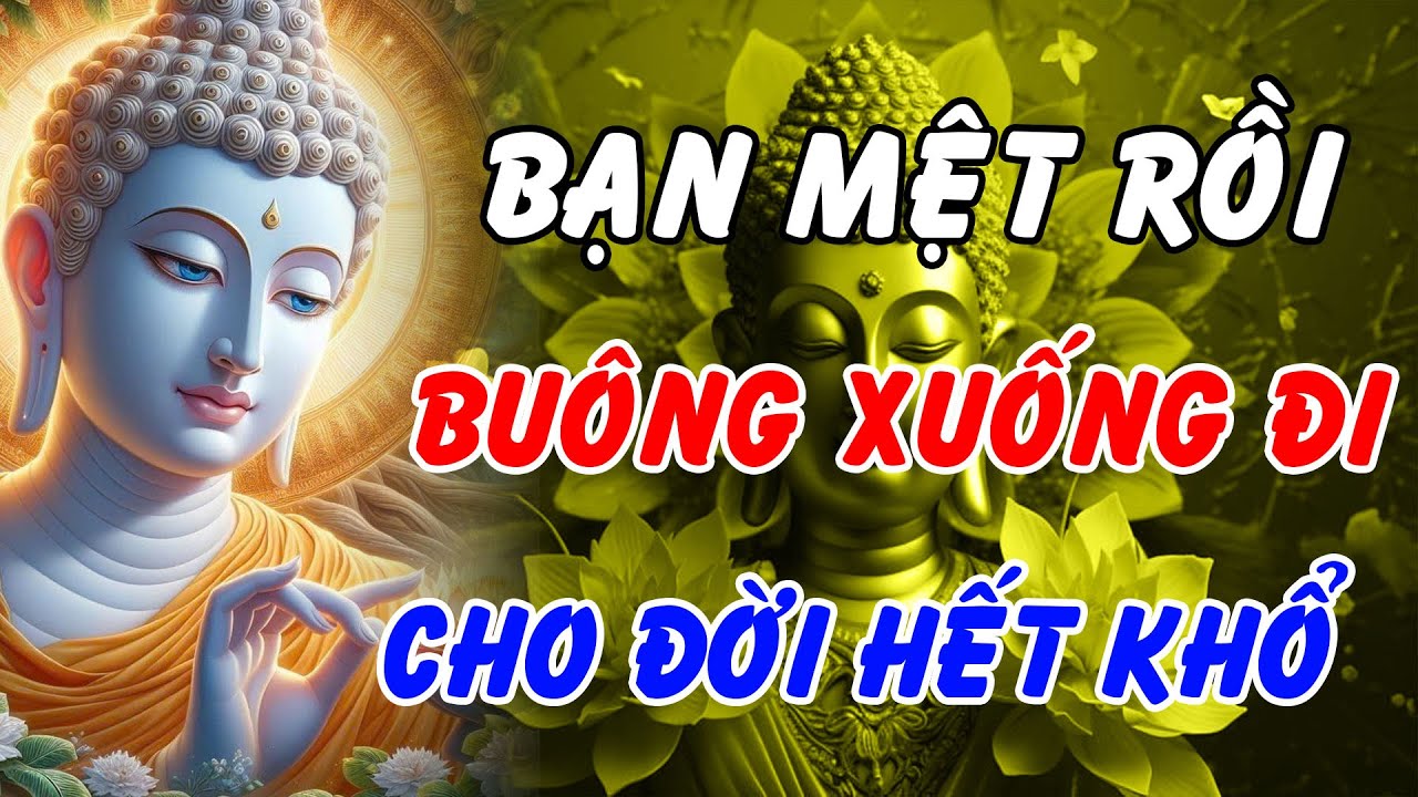 Phật Dạy Học Cách Buông Bỏ Để Tâm An – Bí Quyết Xóa Sạch Mọi Khổ Đau Phiền Muộn | Phật Pháp An Nhiên