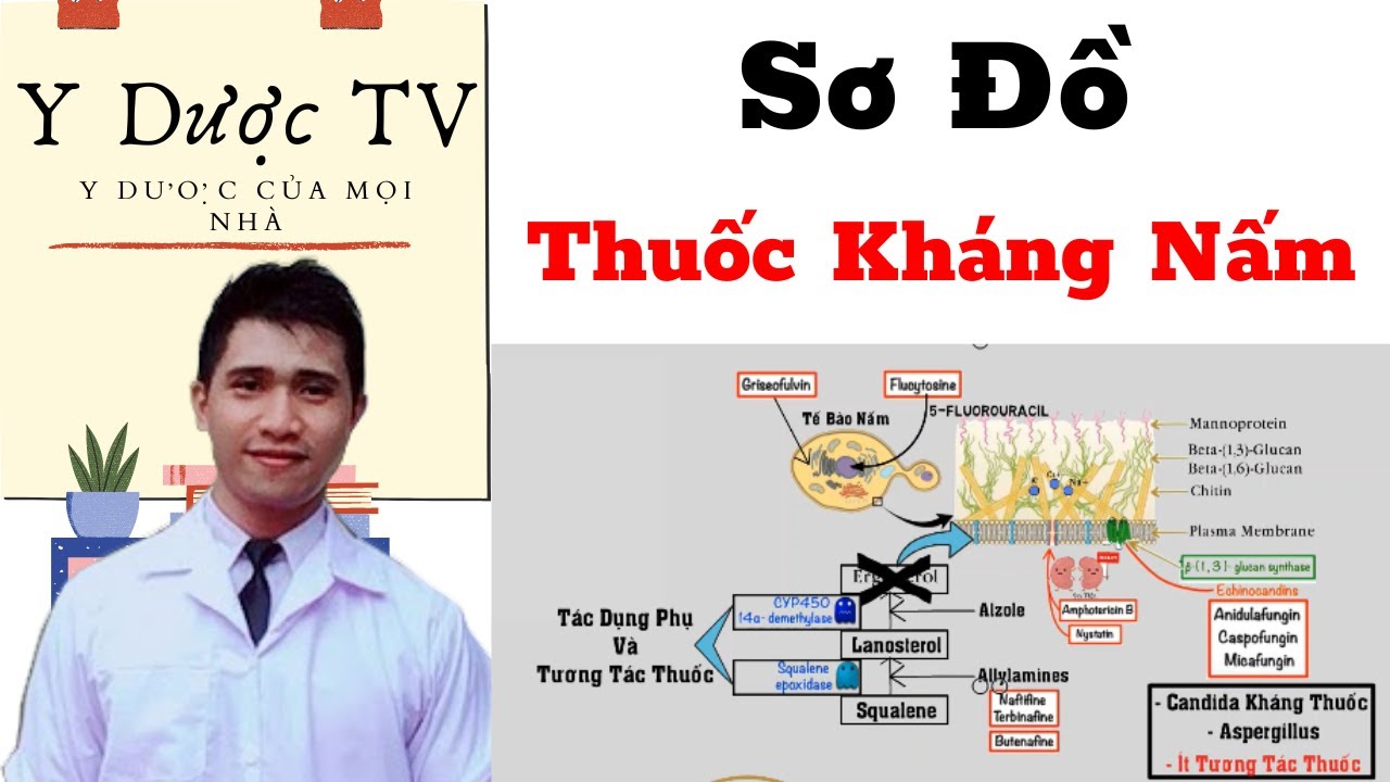 Dược lý nhóm thuốc kháng nấm | Thuốc điều trị nấm | Y Dược TV