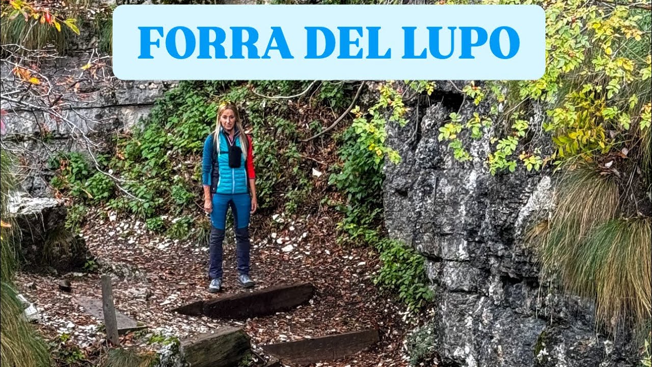 FORRA DEL LUPO | Folgaria - Trentino