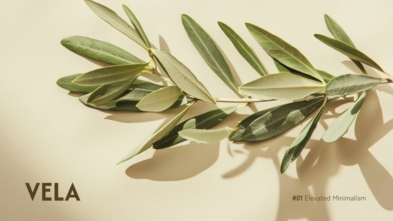 VELA #01 | Afternoon House Mix | Downtempo for Focus & Wind Down