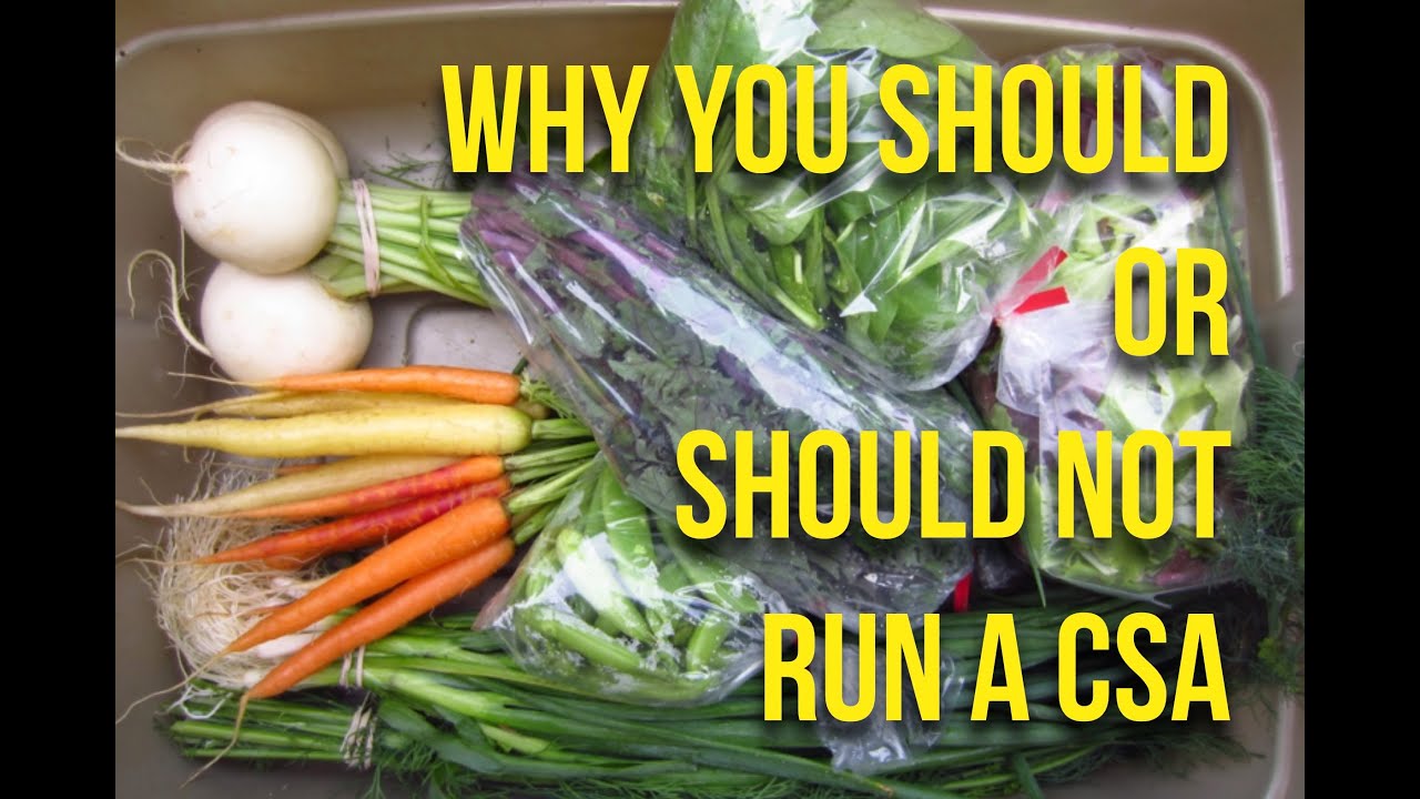To CSA or Not to CSA: Weighing the Pros and Cons for Your Farm!