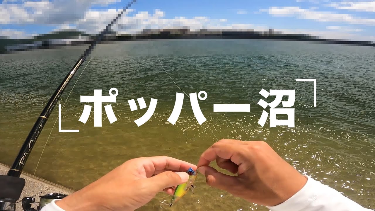 2025年　夏のポッパー