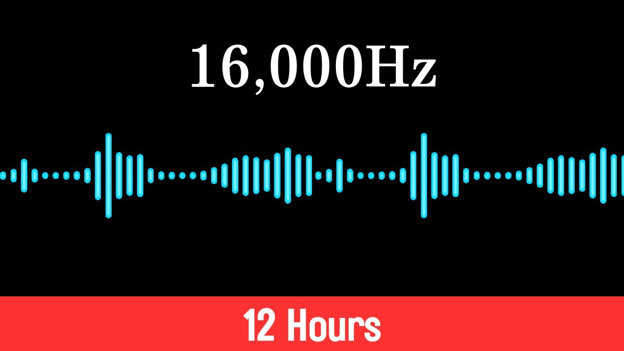 16000Hz Ultrasonic Mouse & Rat Repellent Noise | Quiet Protection for 12 Hours
