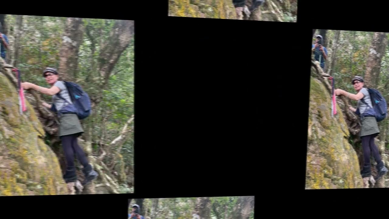 20260116烏來街- 啦卡路-啦卡步道- 大刀山- 內洞步道- 孝義派出所-烏來公車站