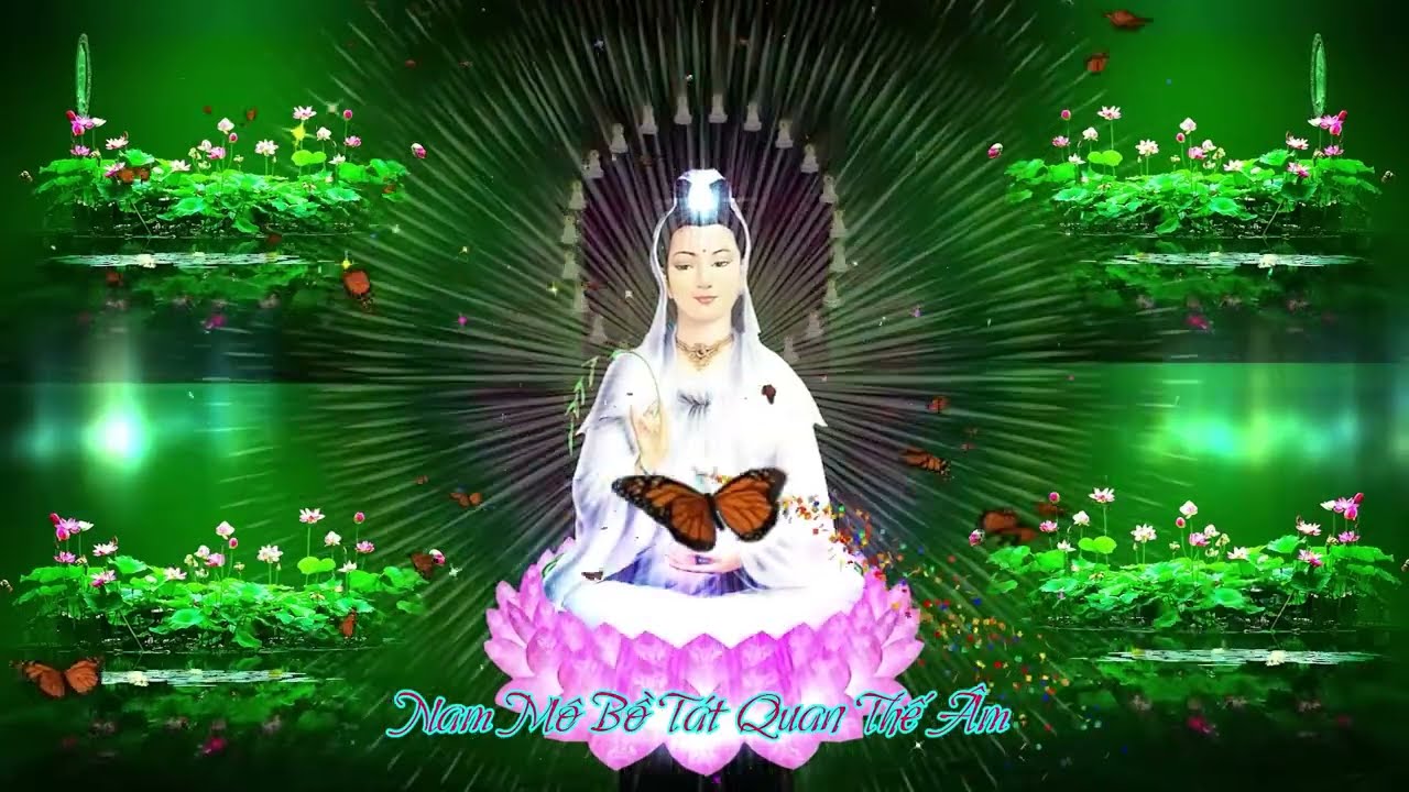 NIỆM QUAN &Acirc;M #358.2 (V&iacute;a Quan &Acirc;m - &Acirc;L- 19.02 - Qu&yacute; M&atilde;o. DL- 10.3.2023)
