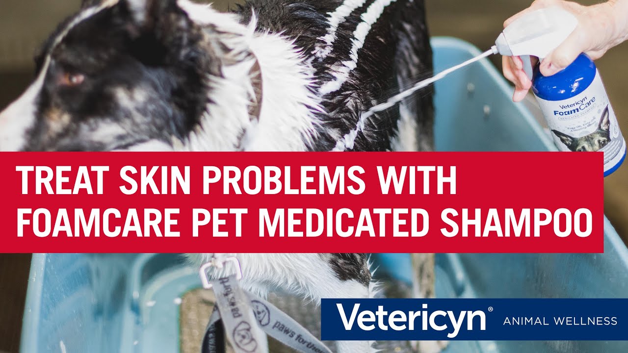Vetericyn Pet Medicated FoamCare Shampoo Treats Dry Skin, Dermatitis, and Other Skin Issues