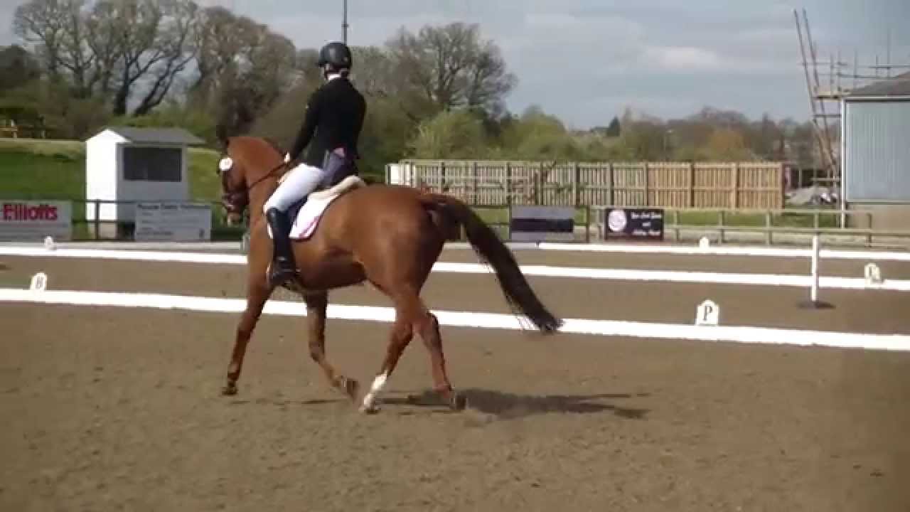 Emily Harris & Bright Time FST - Medium 73 (69.8%)