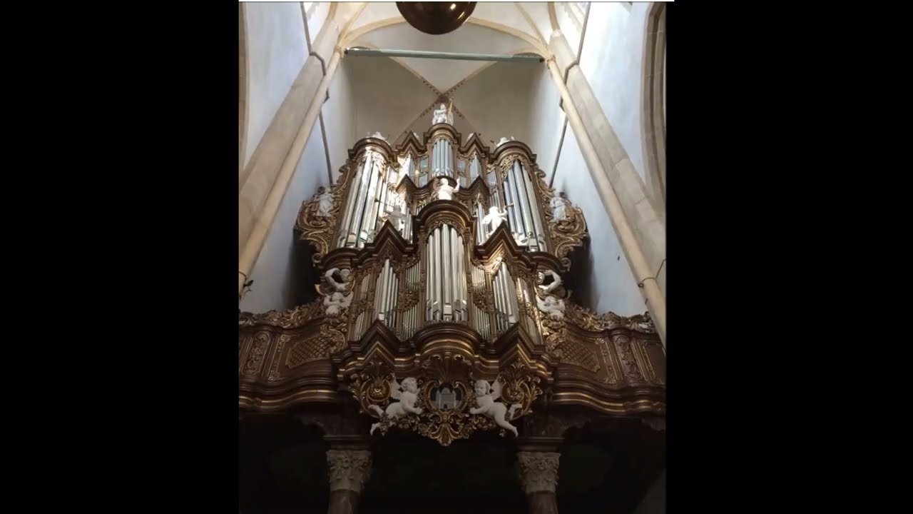 Dick Sanderman | Psalm 133 | Gerard Adriaanse | Hinsz organ Bovenkerk Kampen