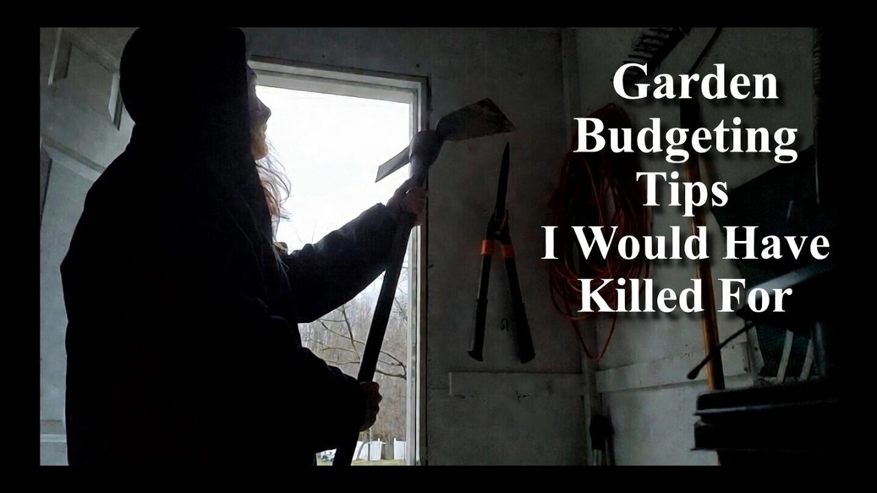 Garden Budgeting Tips I Would Have Killed For