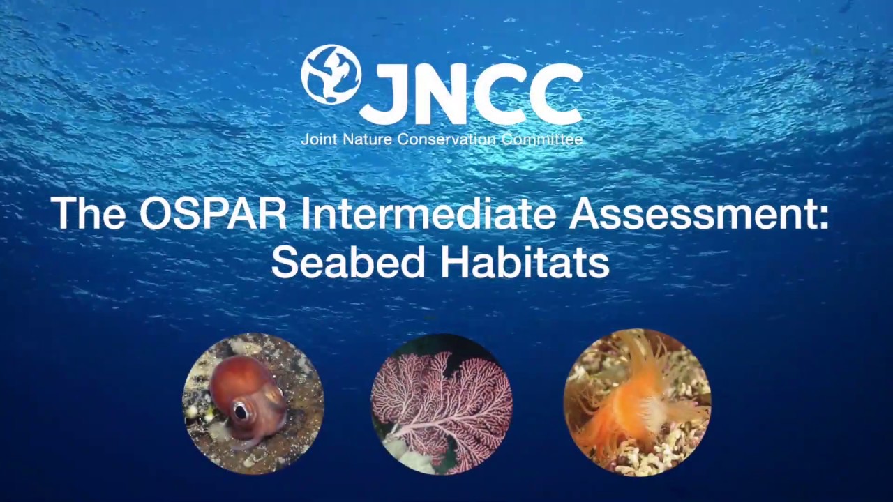 JNCC Marine Assessment - Seabed Habitats