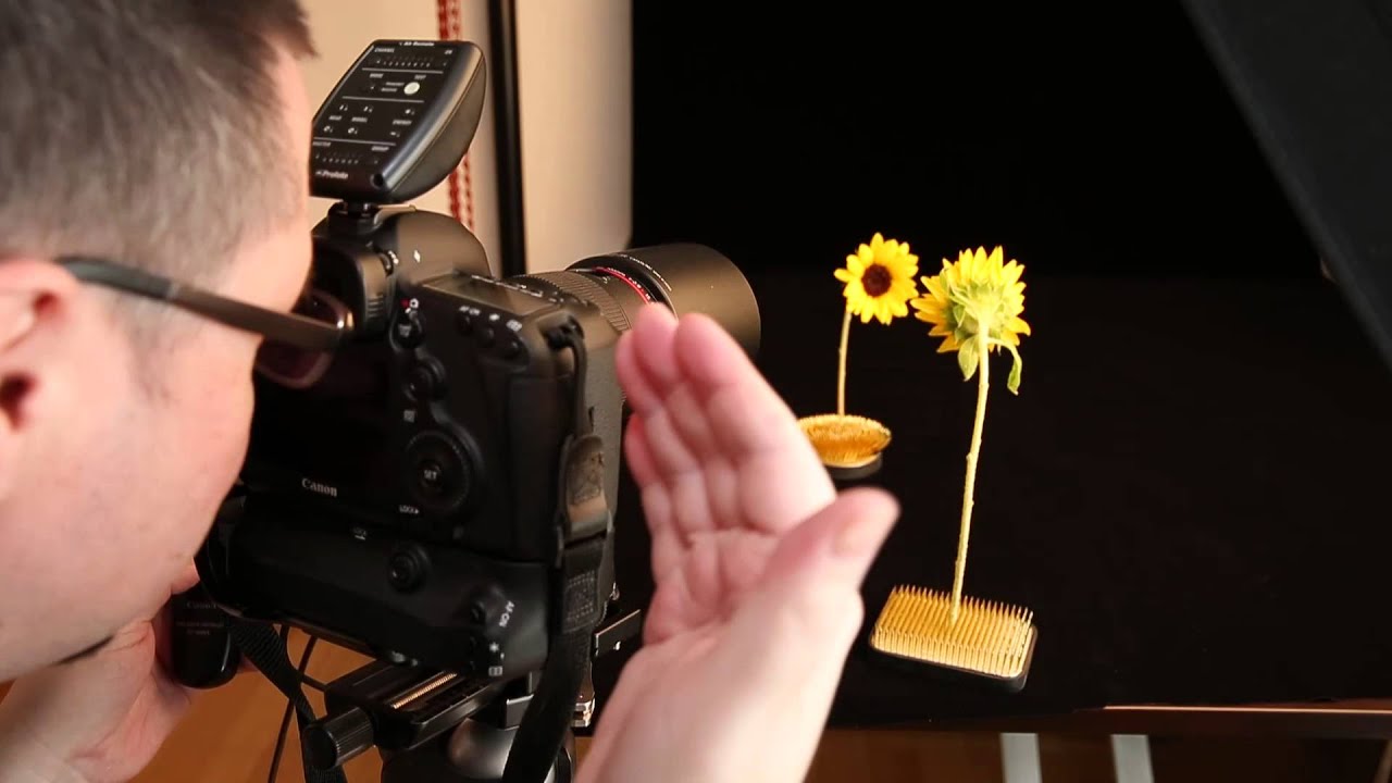 Focus Stacking Tutorial